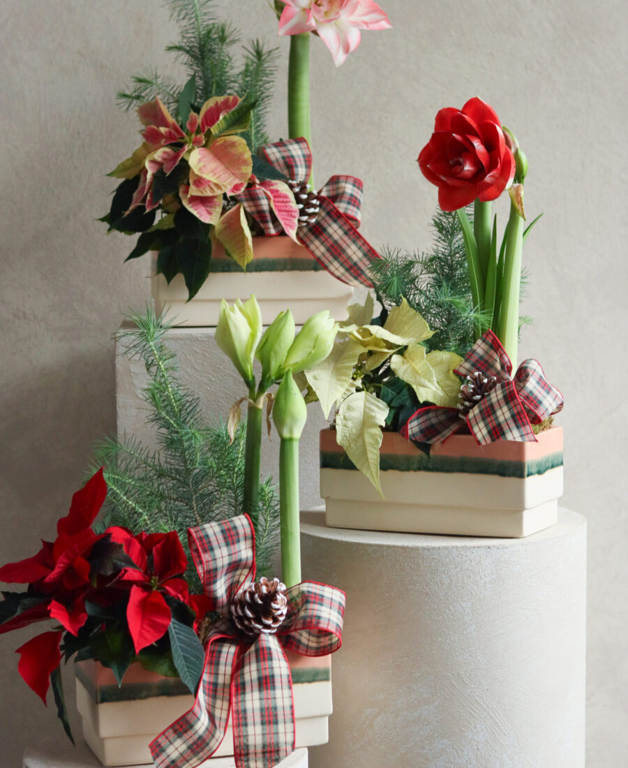 Trio planter group beauty-1