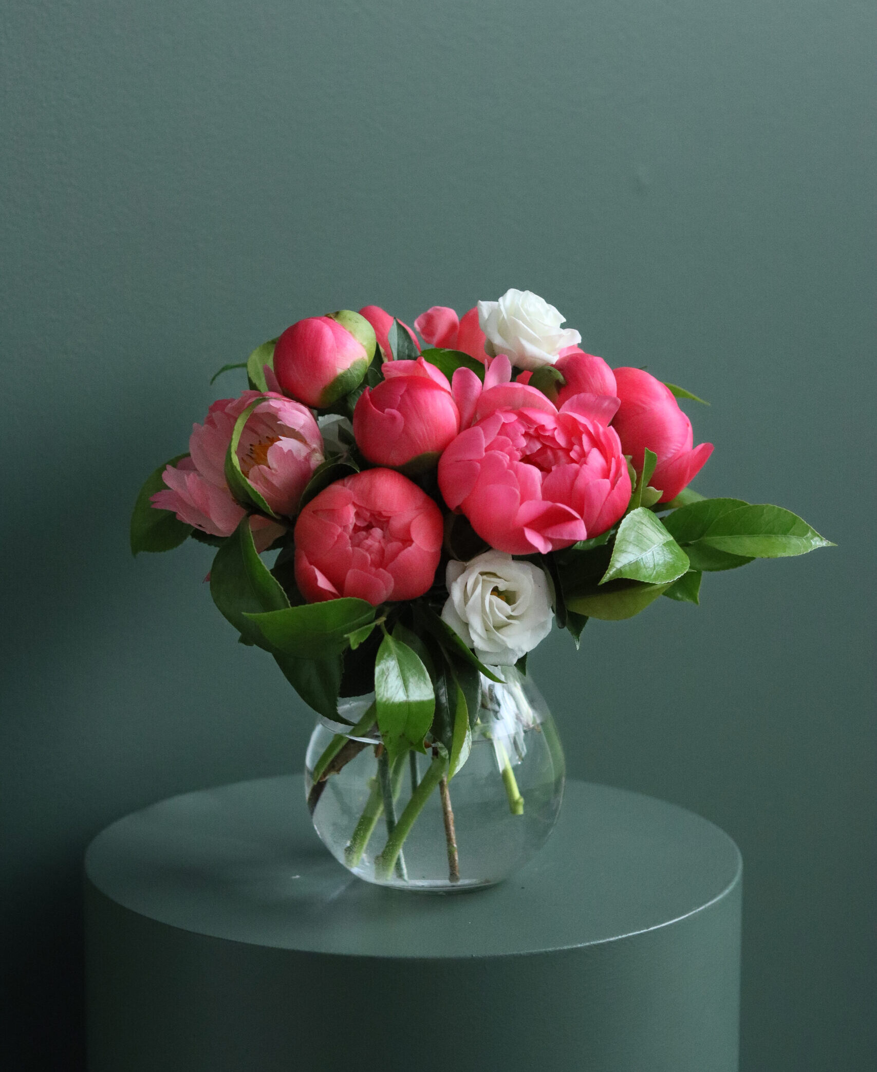 Peony Bomb