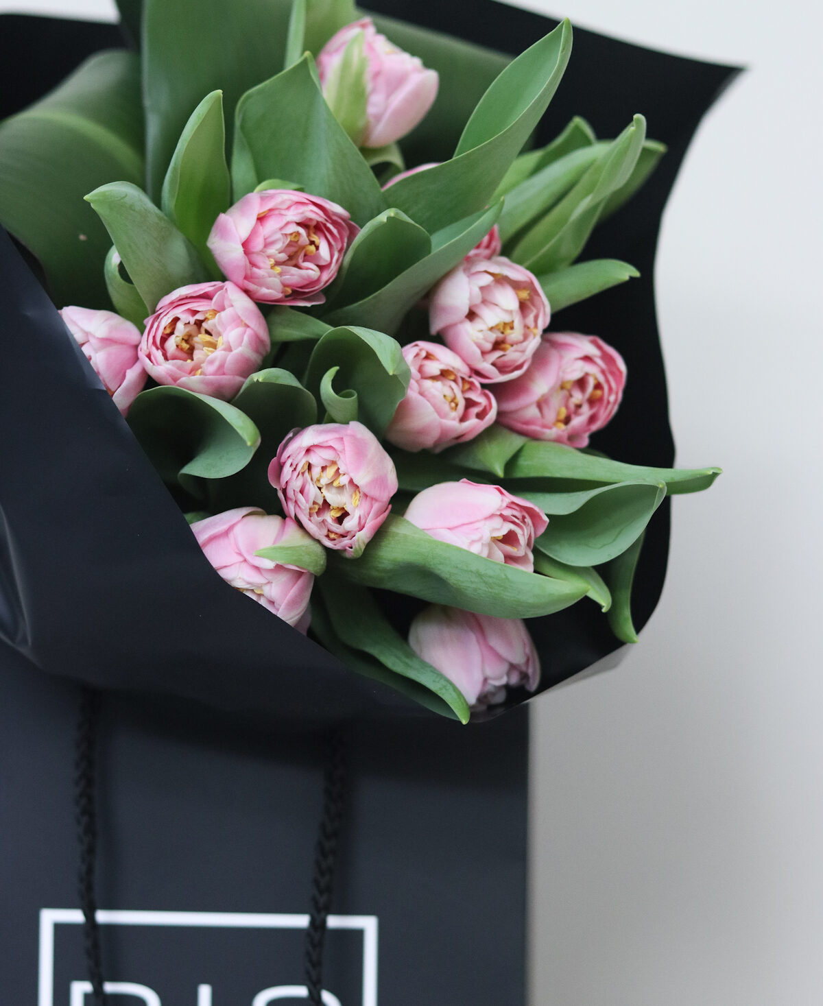 Blush tulips closeup