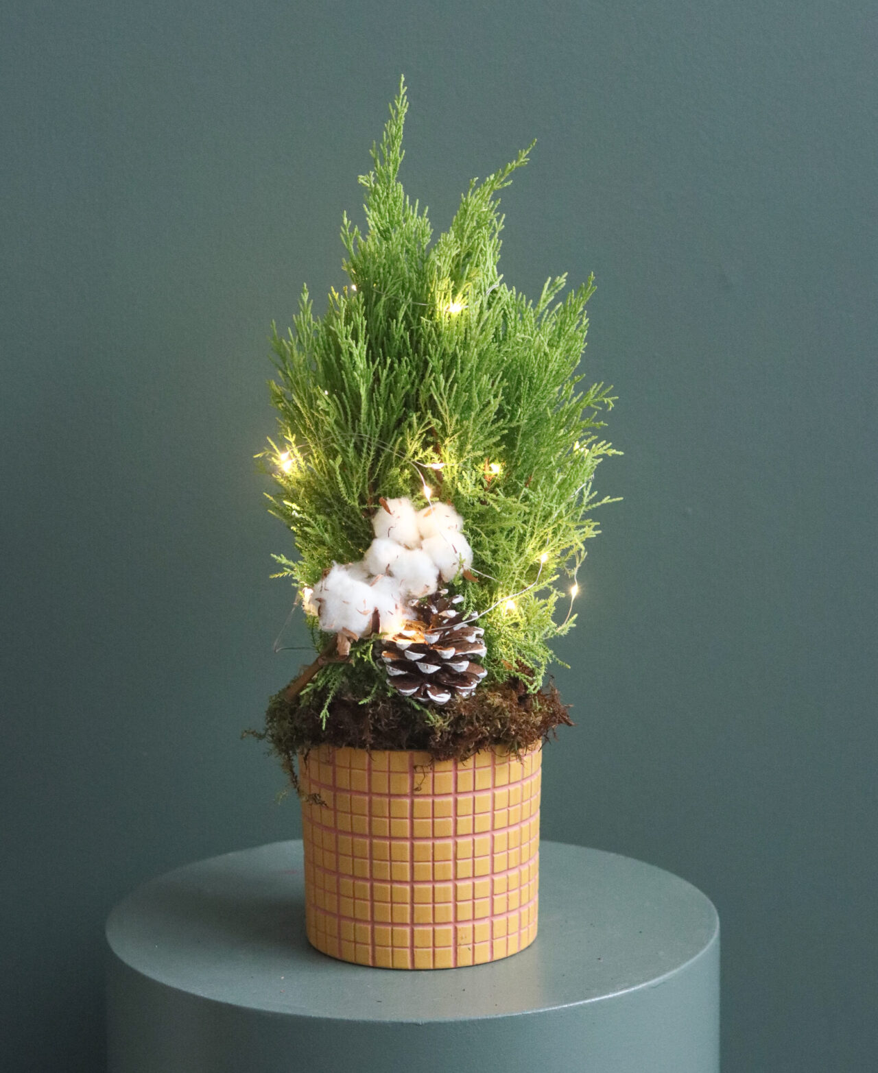 6” cypress yellow plaid pot lit