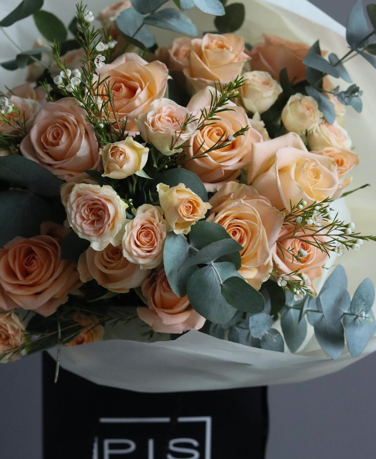 peach roses closeup