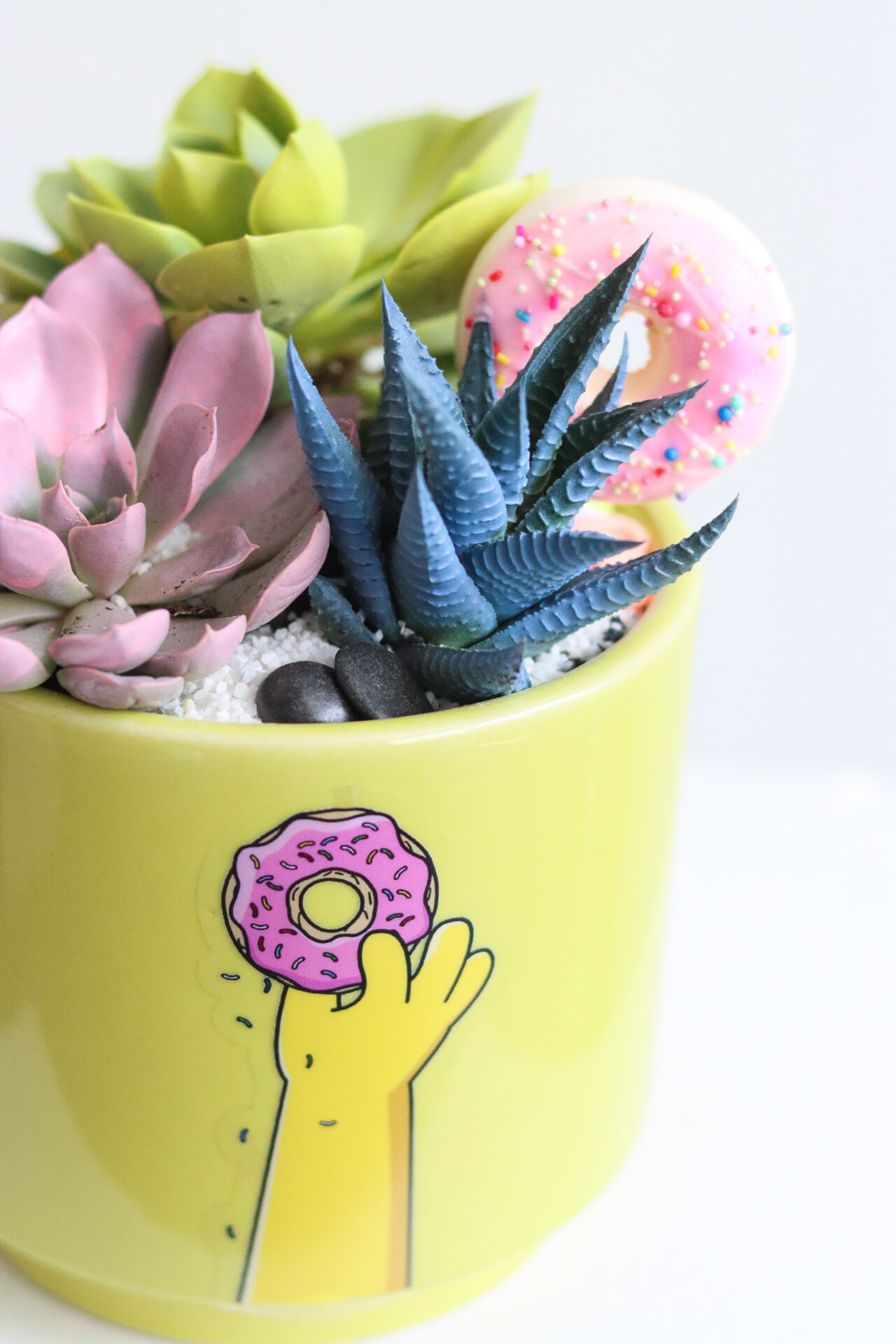 homer’age’ closeup