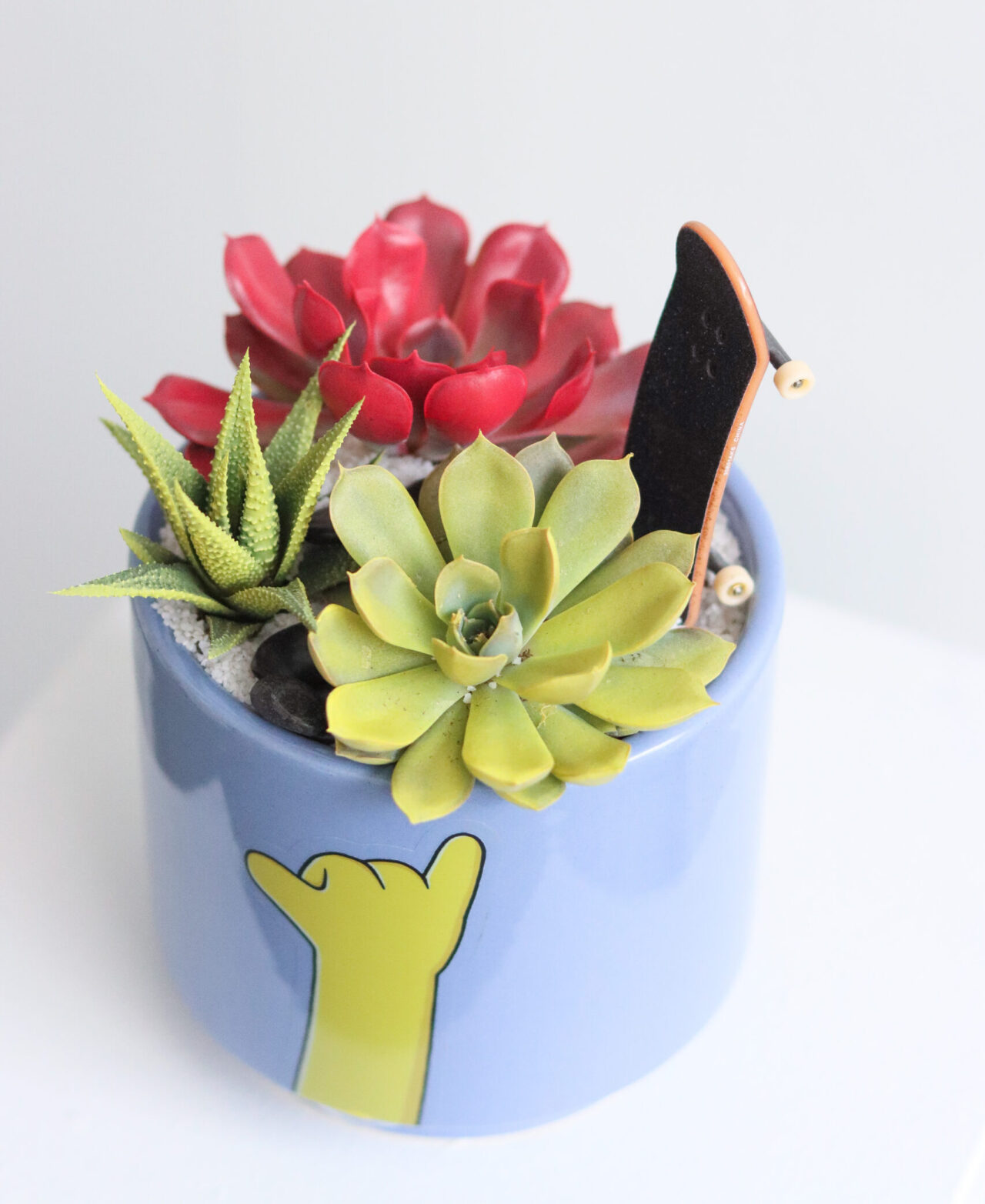 saint bart aerial closeup