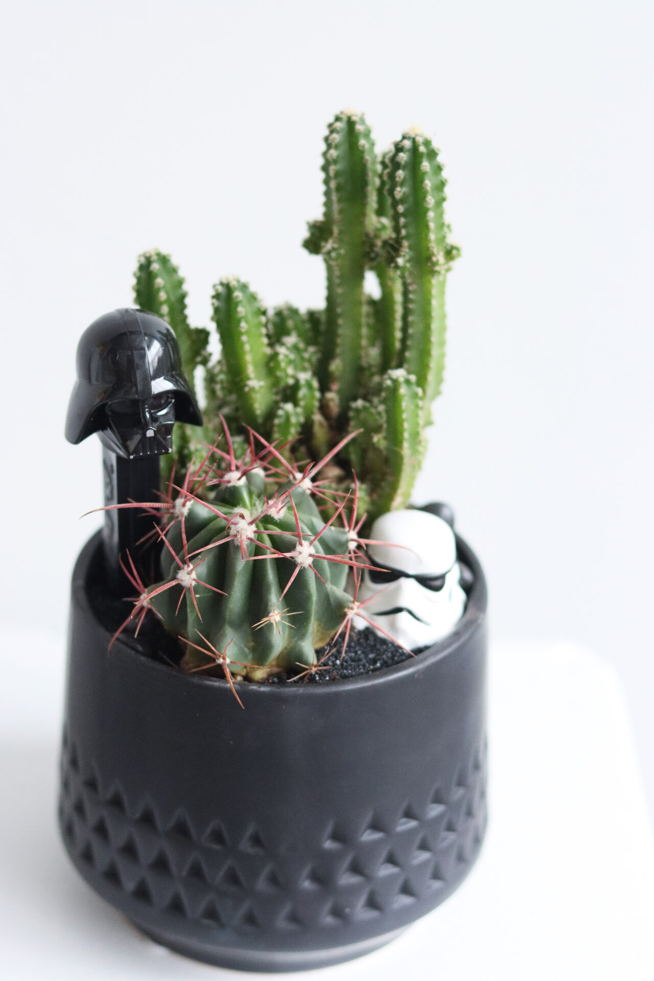 star wars dark small solo closeup