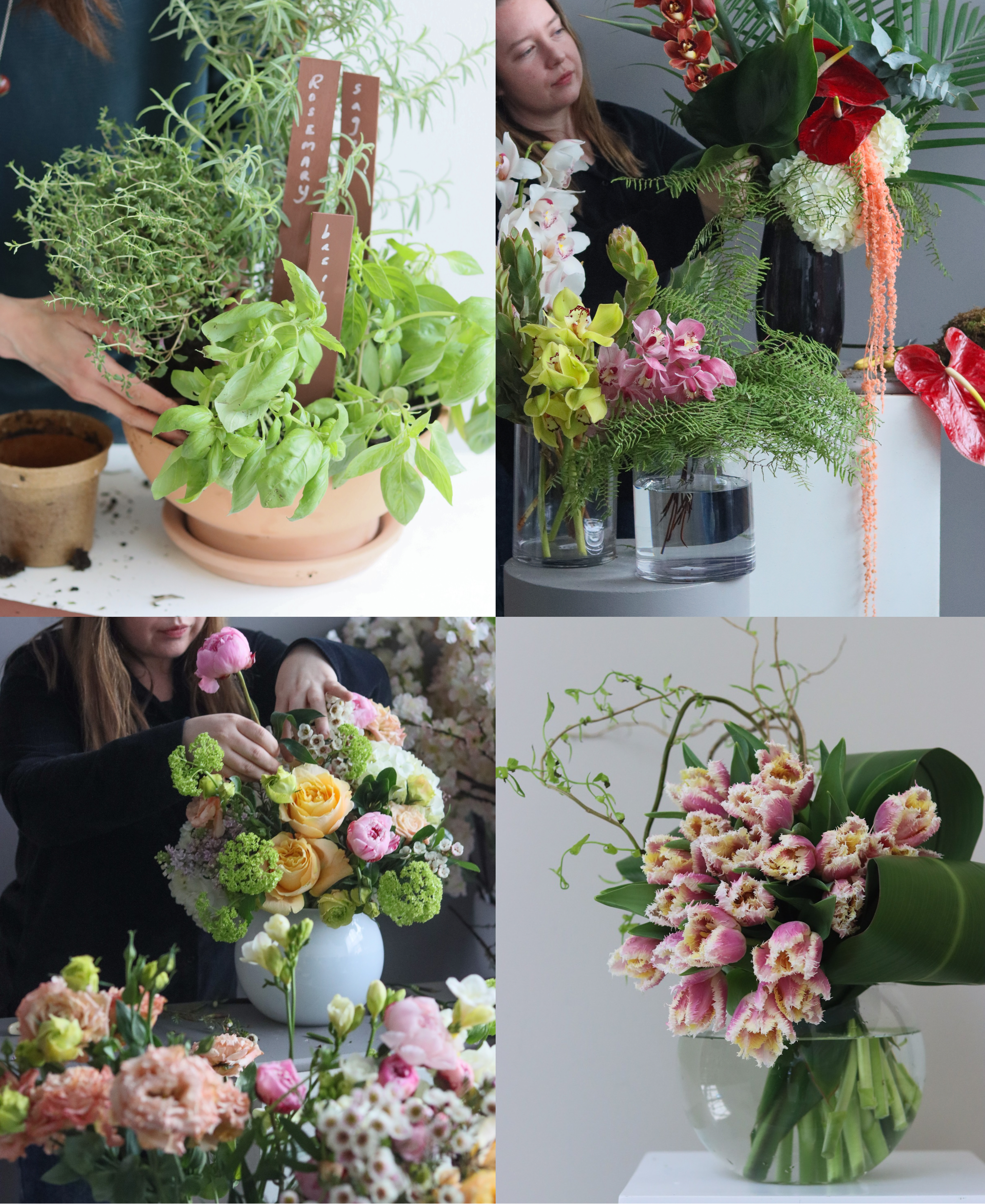 summer workshops collage