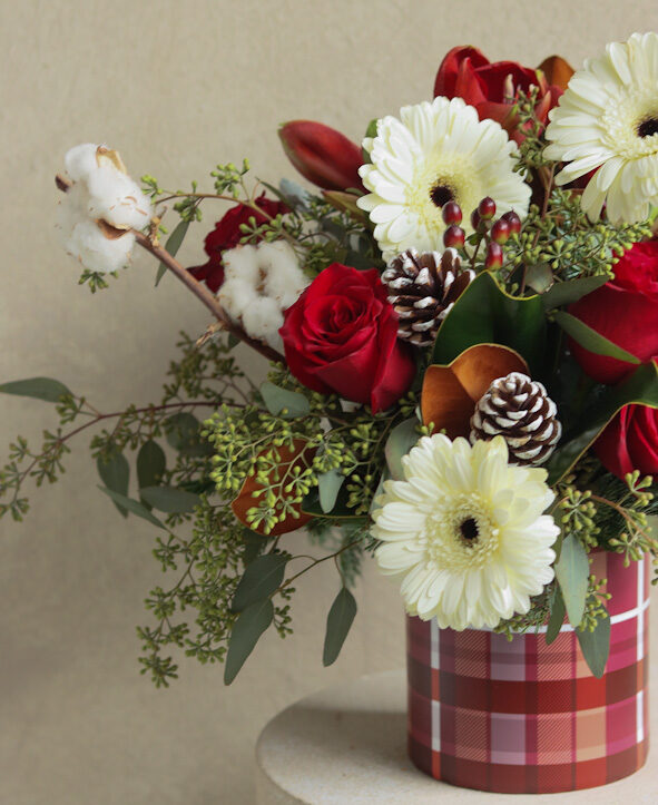 Plaid tidings closeup 2-1