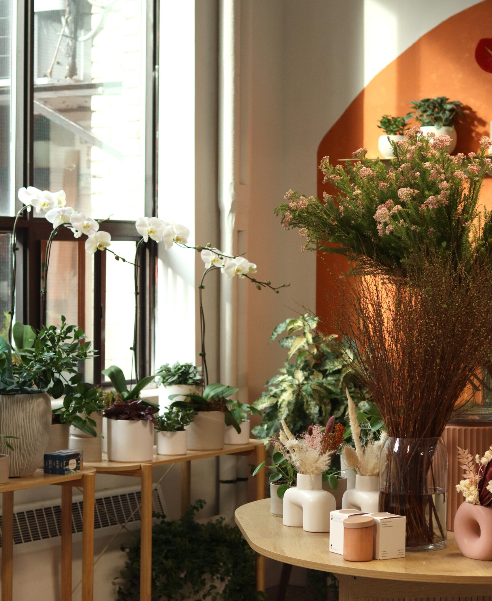 Window beauty shot-1