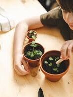 planting pic