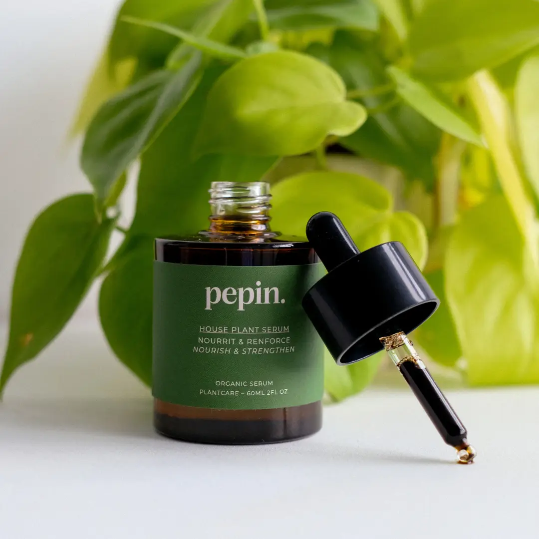 houseplant serum